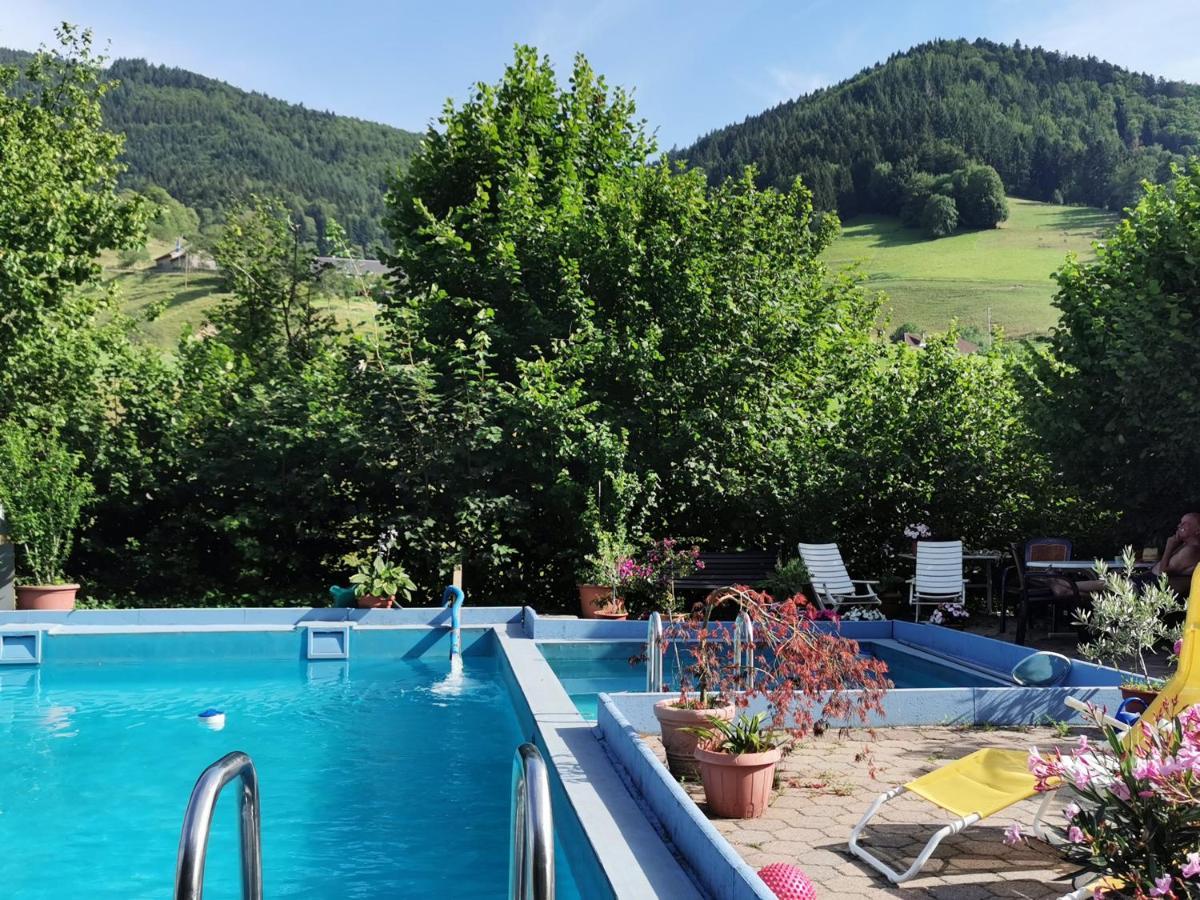 Ferienwohnung Vogelsang Im Schwarzwald Münstertal Eksteriør billede