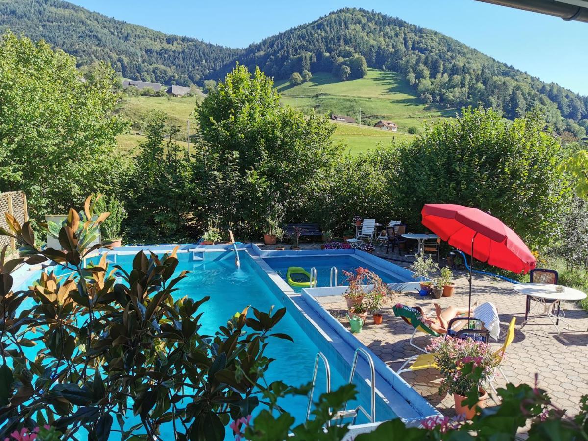 Ferienwohnung Vogelsang Im Schwarzwald Münstertal Eksteriør billede