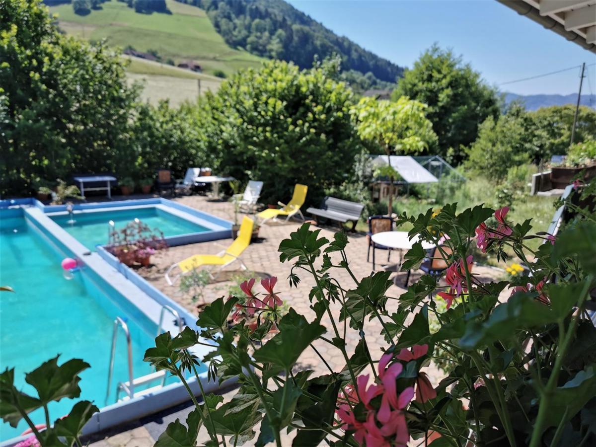 Ferienwohnung Vogelsang Im Schwarzwald Münstertal Eksteriør billede