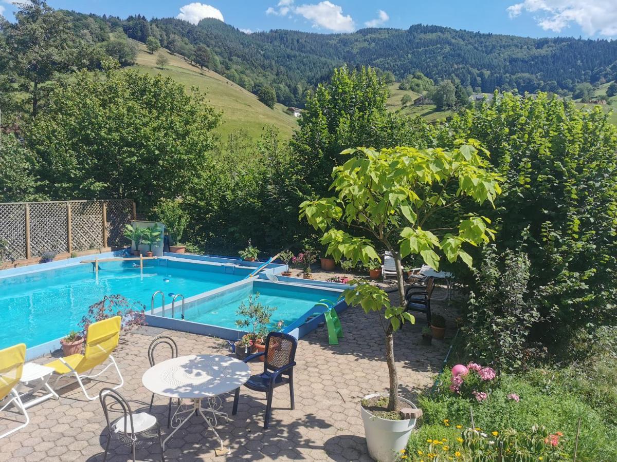 Ferienwohnung Vogelsang Im Schwarzwald Münstertal Eksteriør billede