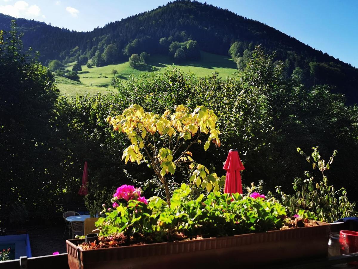 Ferienwohnung Vogelsang Im Schwarzwald Münstertal Eksteriør billede