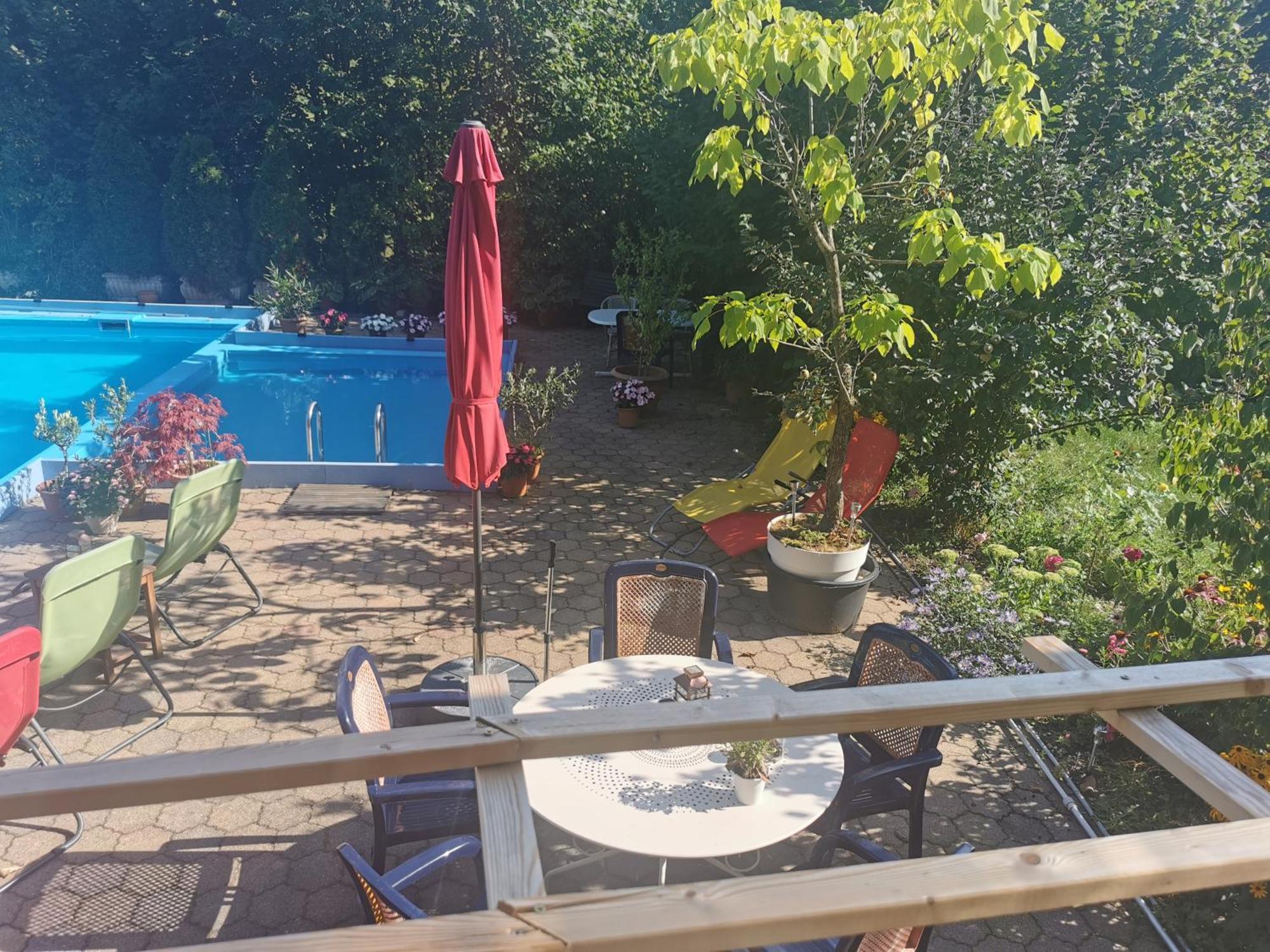 Ferienwohnung Vogelsang Im Schwarzwald Münstertal Eksteriør billede
