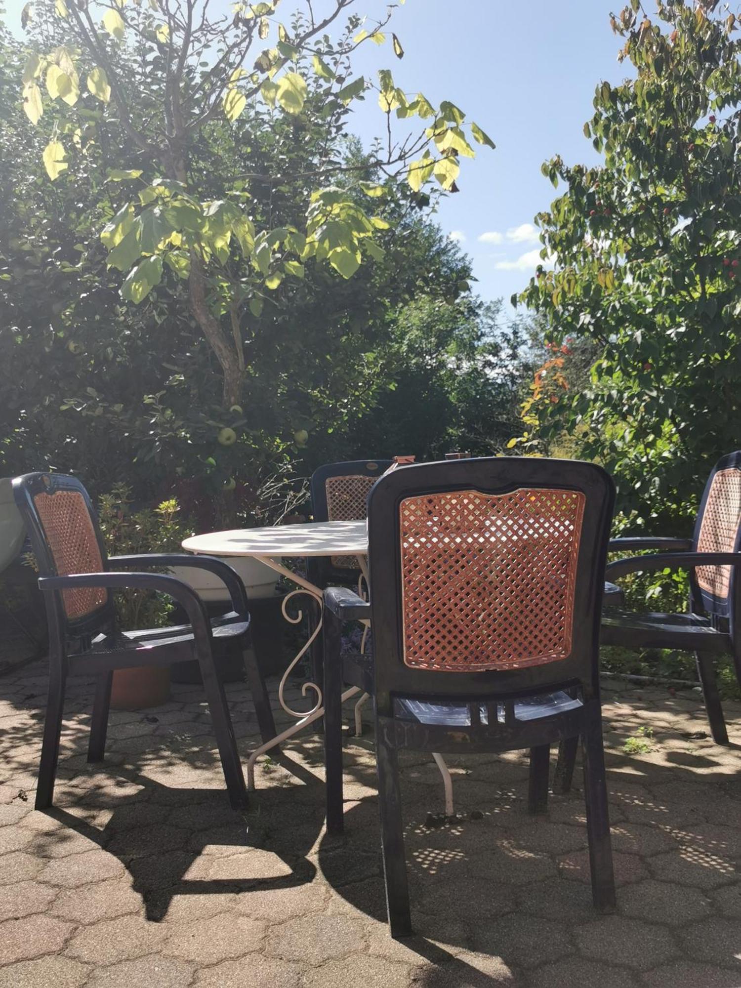 Ferienwohnung Vogelsang Im Schwarzwald Münstertal Eksteriør billede