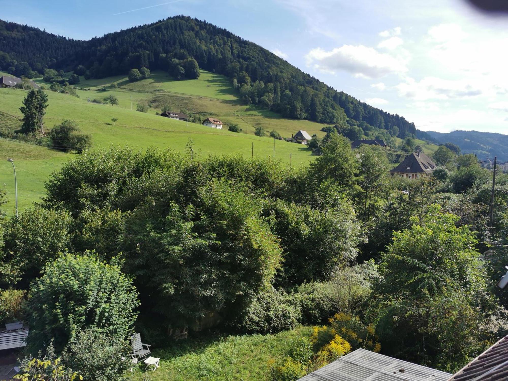 Ferienwohnung Vogelsang Im Schwarzwald Münstertal Eksteriør billede